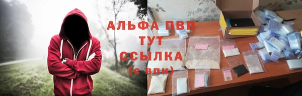 прущие грибы Богородск