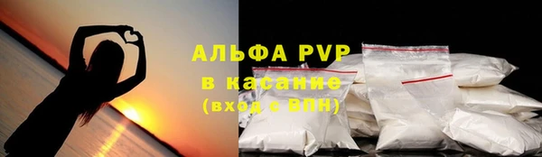 бошки Богданович