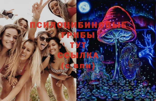 мефедрон Богородицк