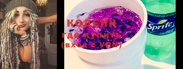 прущие грибы Богородск